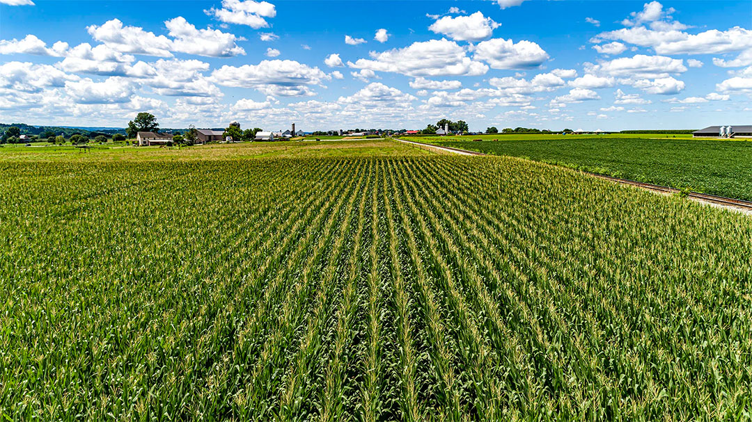 Ag drones in Moultrie